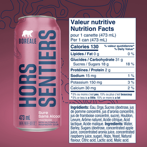 Raspberry Sour 12 x 473ML